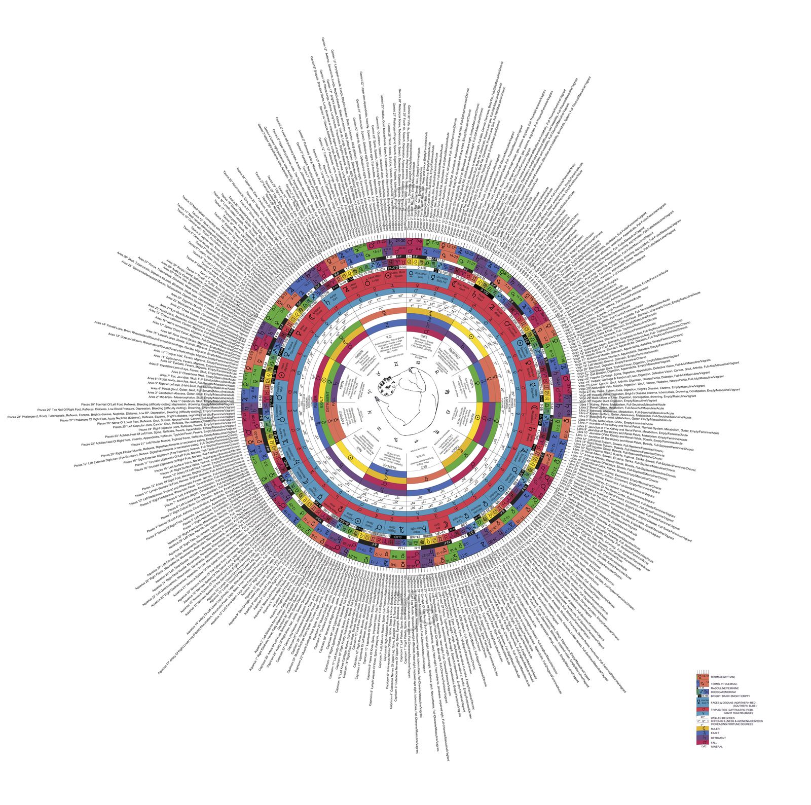 Syncrota Wheel Digital Chart