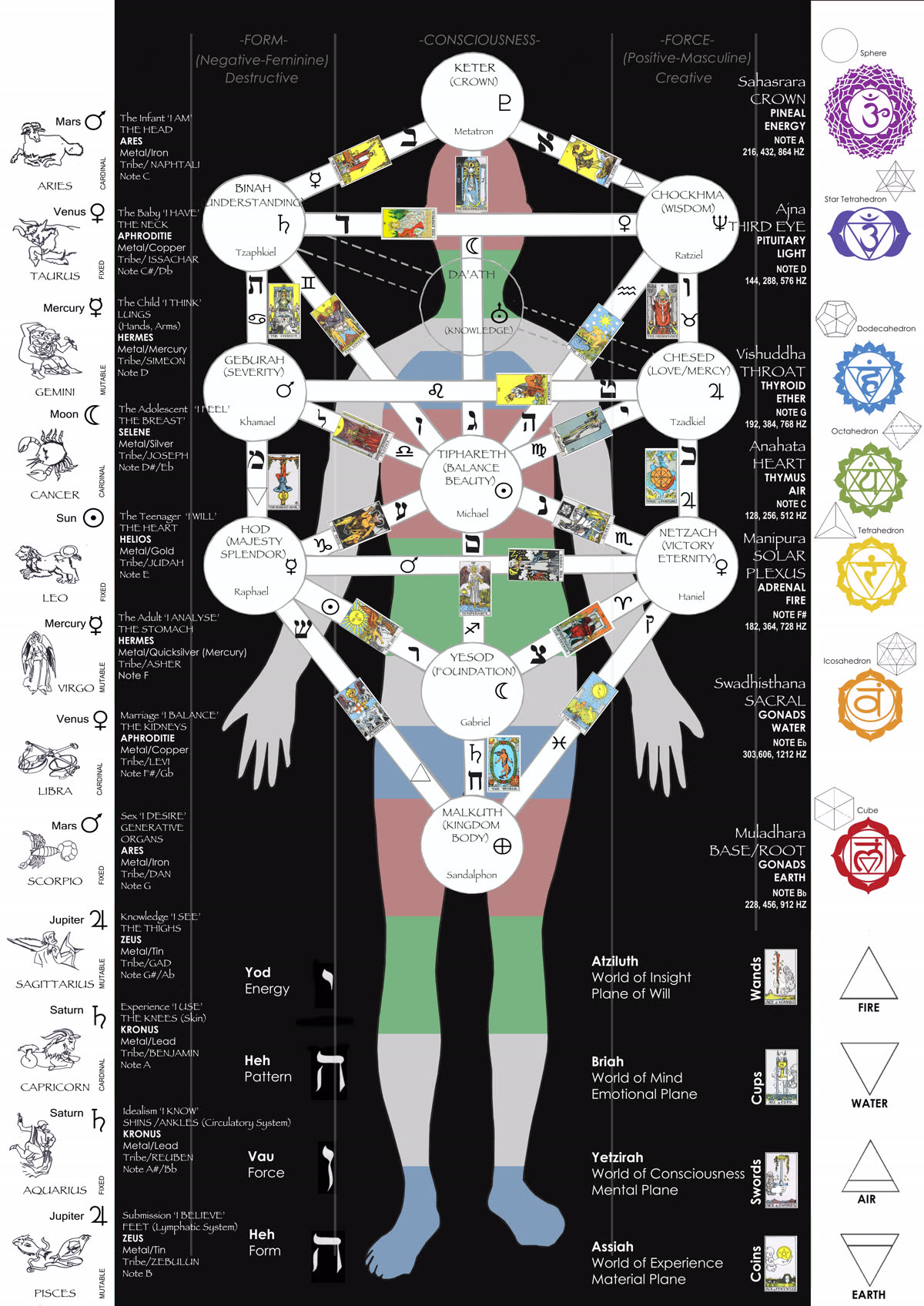 Tree of Life Digital Chart