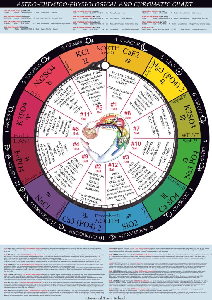 Astro Chemico Physiological and Chromatic chart