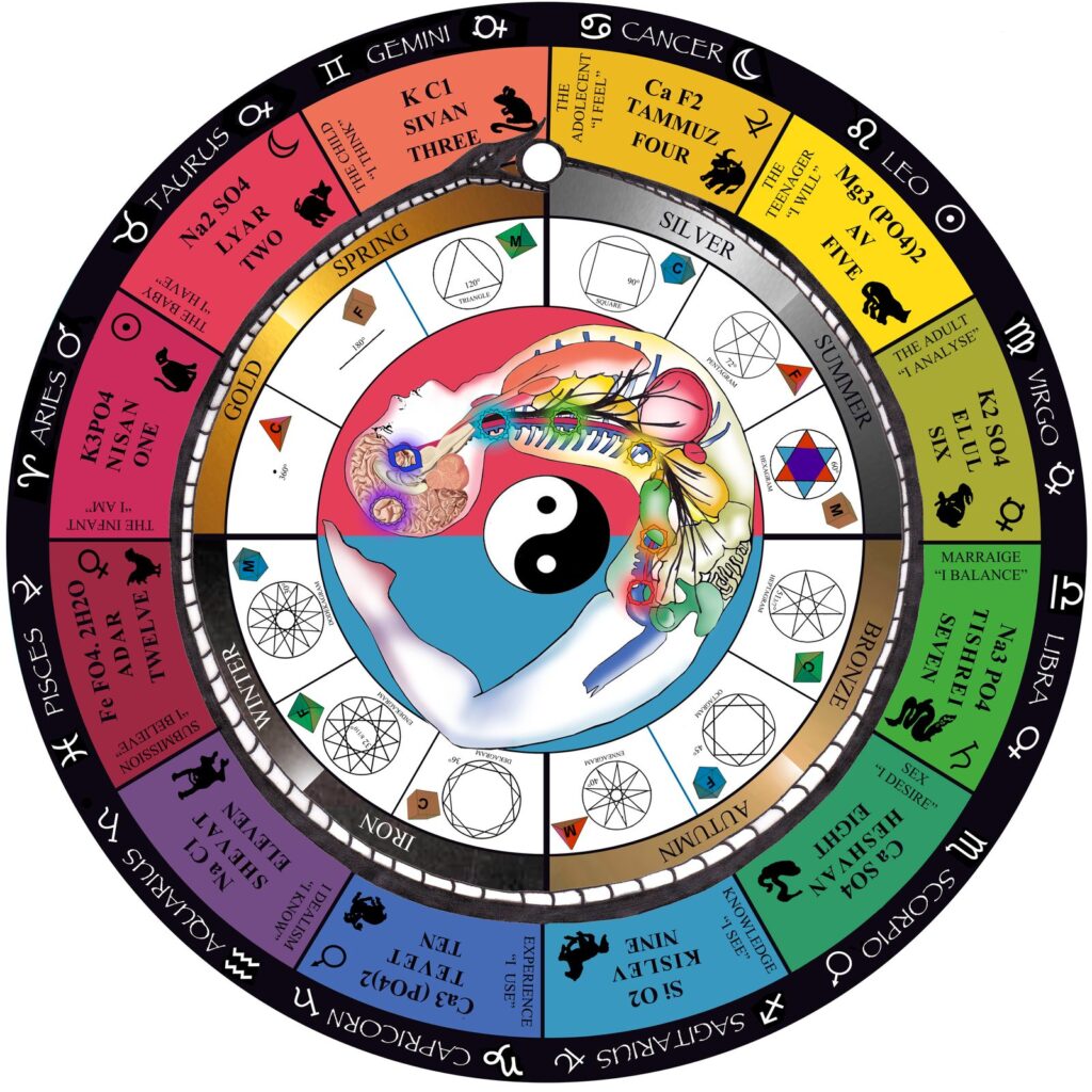 Syncretism Wheel chart