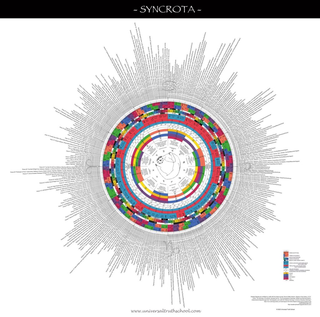 Syncrota Wheel chart