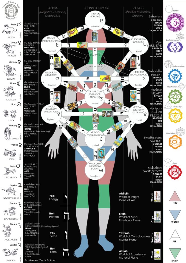 Tree of Life chart