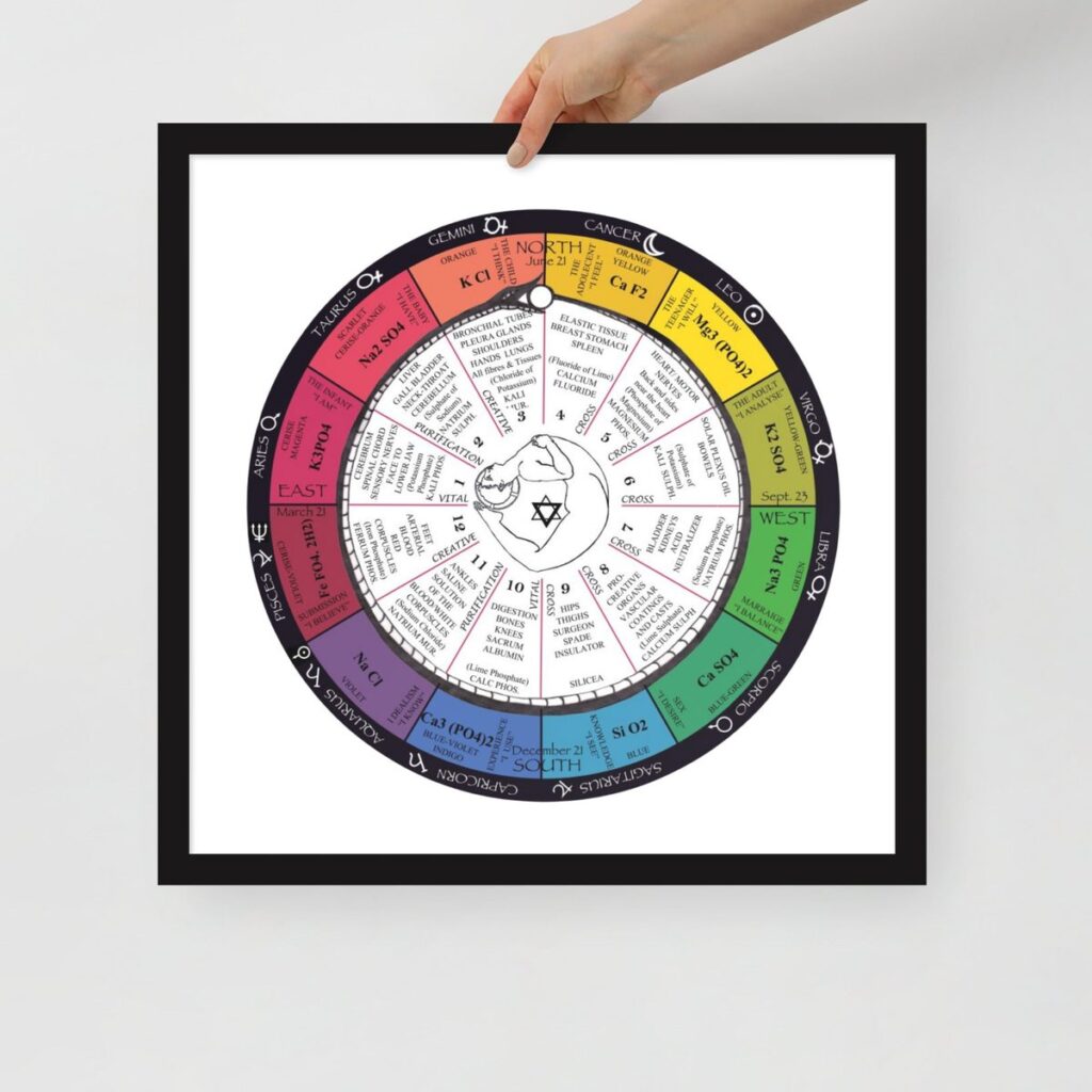 The mineral and cell salt chart as a framed poster